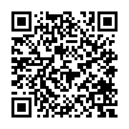 QR code for V495L
