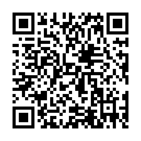 QR code for V498B