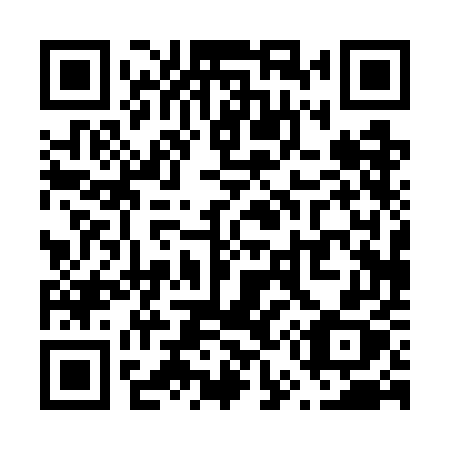 QR code for V507EX