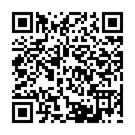 QR code for V509M
