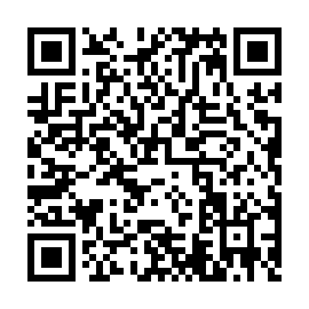 QR code for V641P