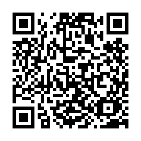 QR code for V81 4GO