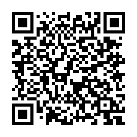 QR code for plate V81 4KA