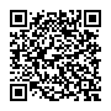 QR code for V88 4HP