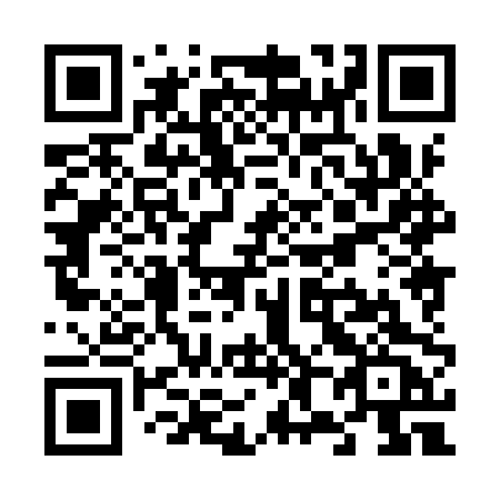 QR code for plate V88 9PC