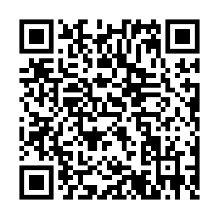 QR code for V901N