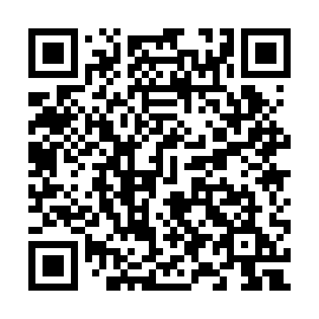 QR code for plate V91 2QE