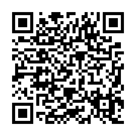 QR code for V916P