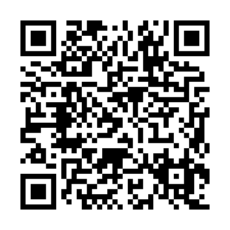 QR code for V918Z
