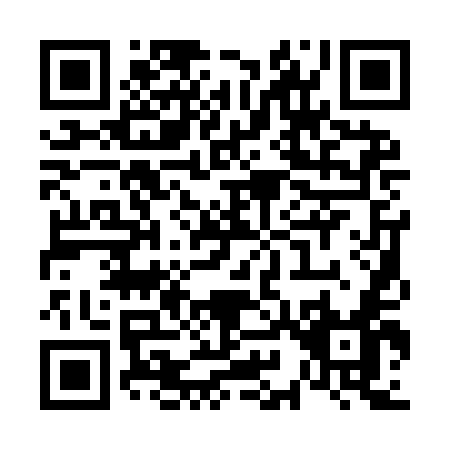 QR code for V919E