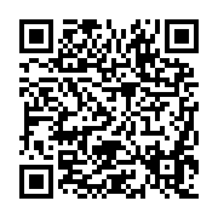 QR code for V929E