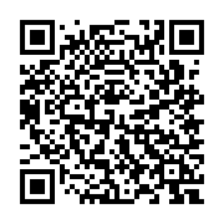 QR code for V95 1NH