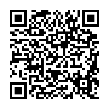 QR code for V953L