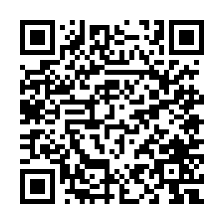 QR code for V954N