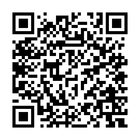 QR code for V955G