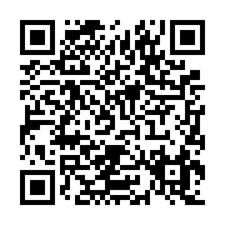 QR code for V966C