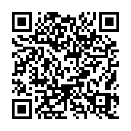 QR code for V99 2GS
