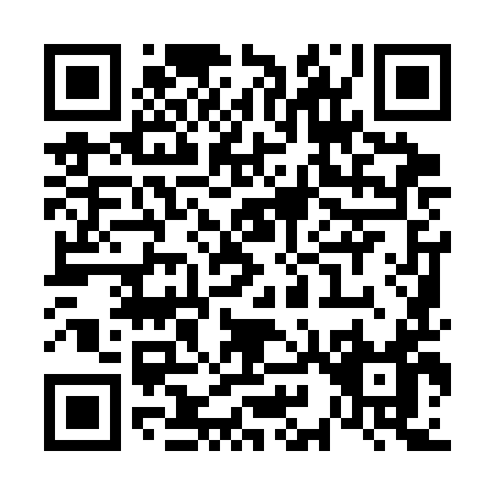 QR code for V993I