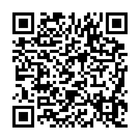 QR code for V993N