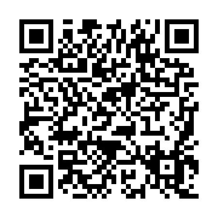 QR code for V999T