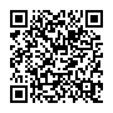 QR code for plate W04 2RG