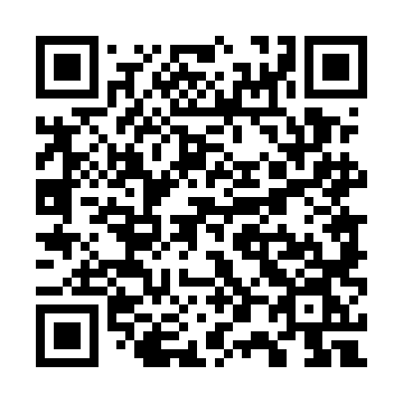 QR code for plate W04 5LN