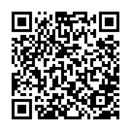 QR code for plate W04 5LR