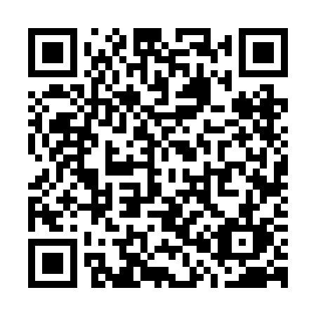QR code for plate W06 2CL