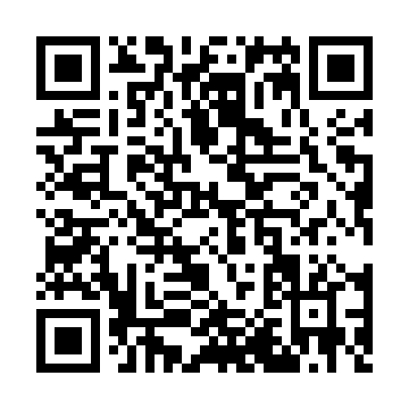 QR code for W095P
