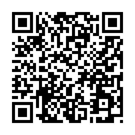 QR code for W096P