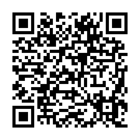 QR code for W119N