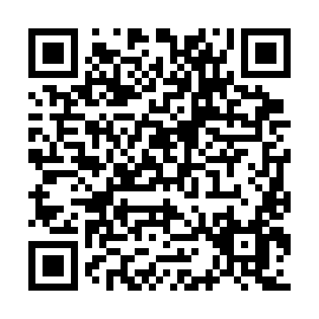 QR code for W163L