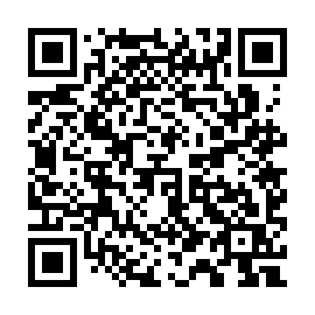QR code for W173IS