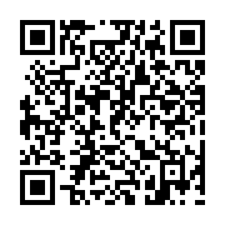 QR code for plate W20 3IM