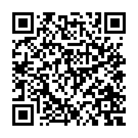 QR code for W211P