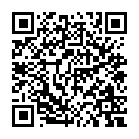 QR code for W217C