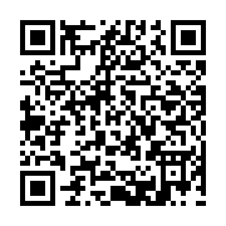 QR code for W217E