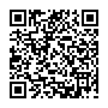 QR code for W217G