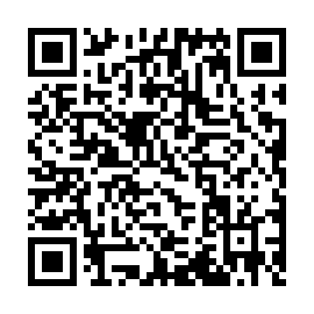 QR code for W243T