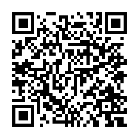 QR code for W290P