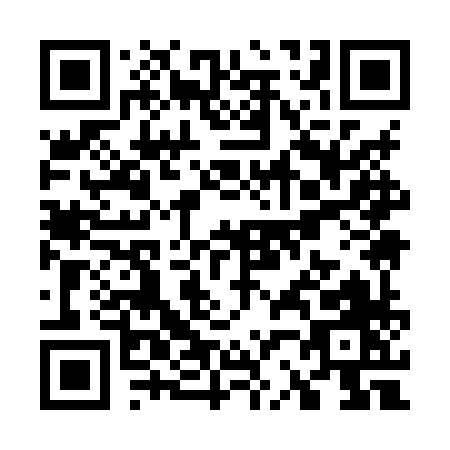 QR code for W298X