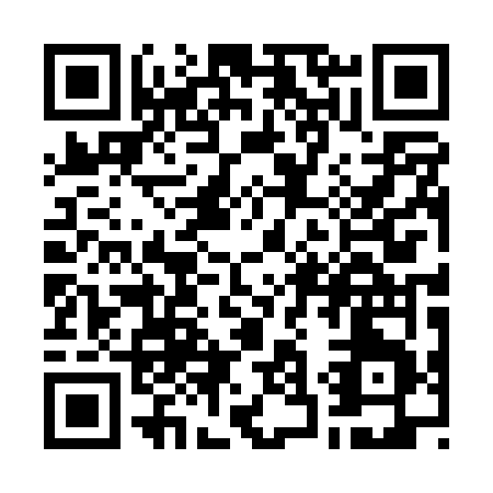 QR code for W300V