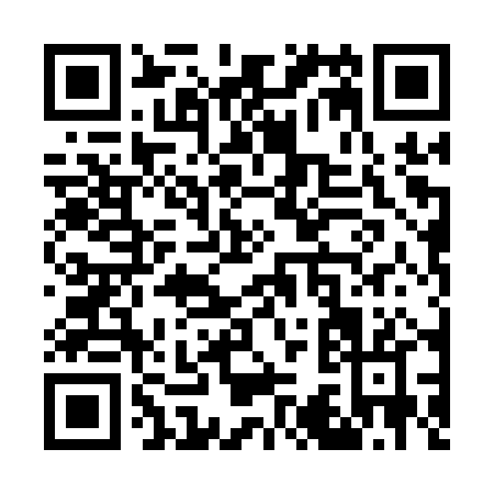QR code for W301P