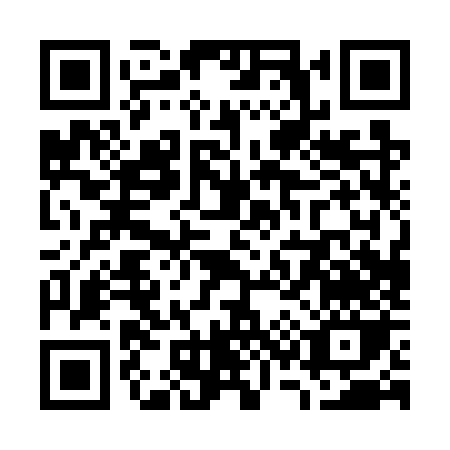 QR code for W307Z