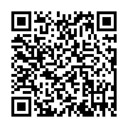 QR code for W338K
