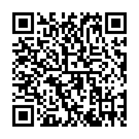 QR code for W381T