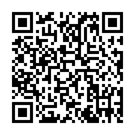 QR code for W383K