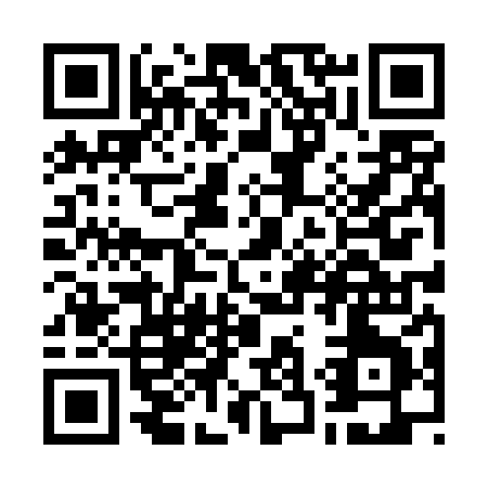 QR code for W384X