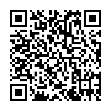QR code for W385Q
