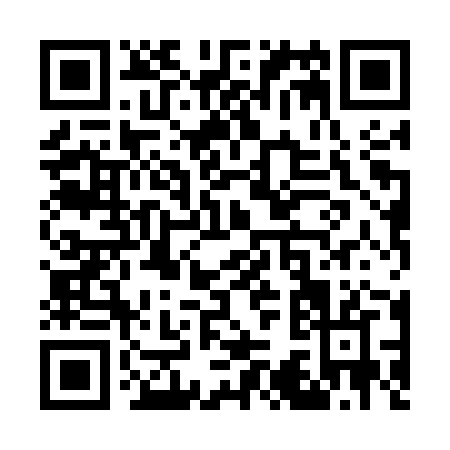QR code for W385Z